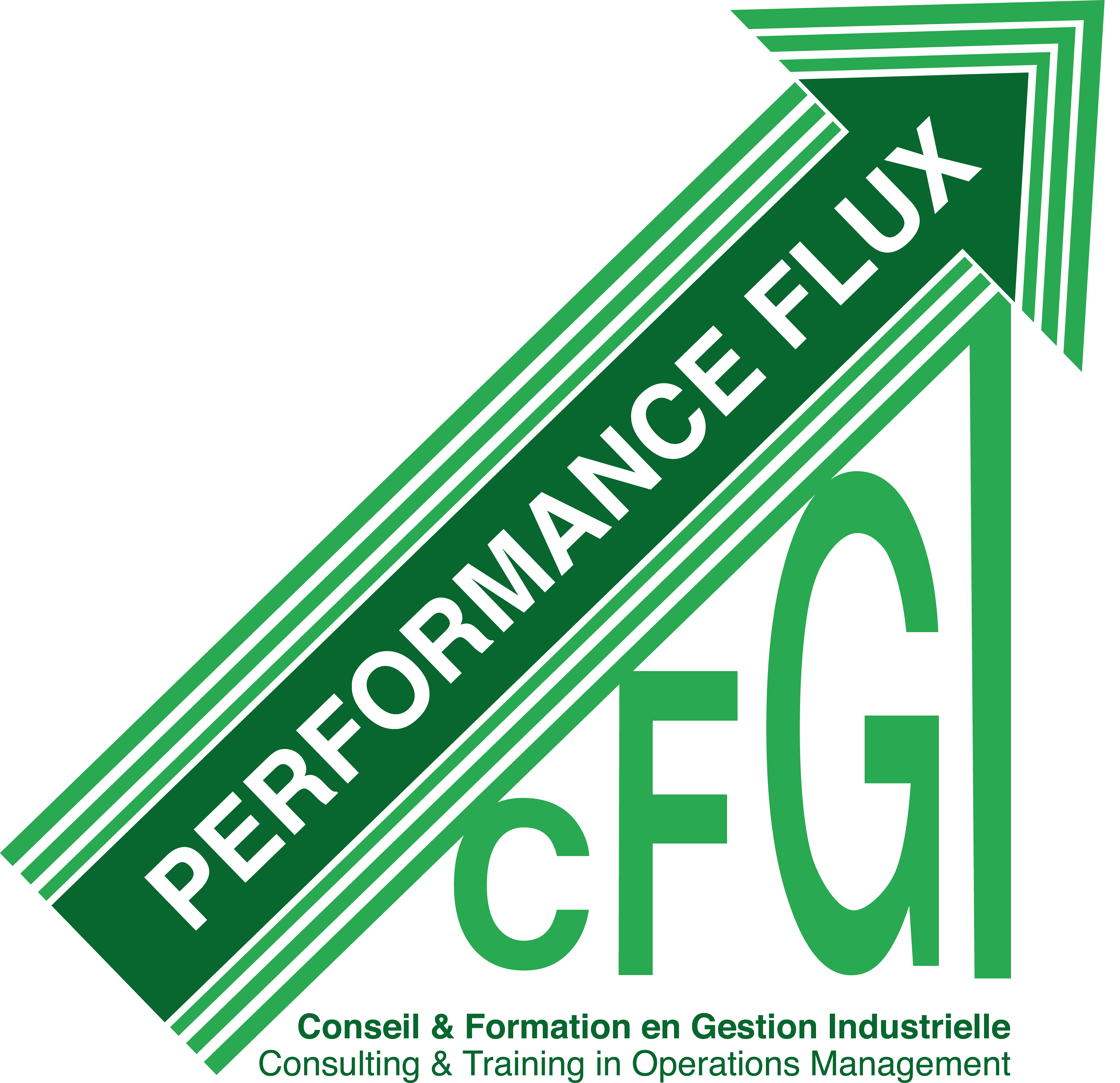 logo CFGI