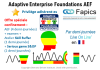 Adaptive Enterprise Foundations LIVE ON LINE
