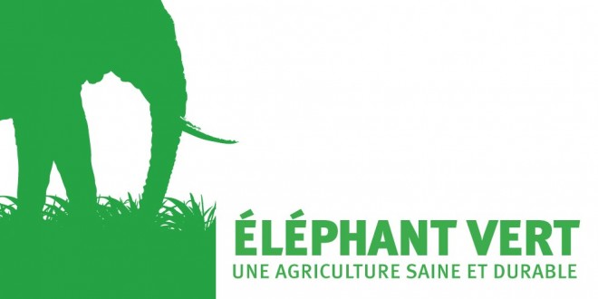 Eléphant-Vert