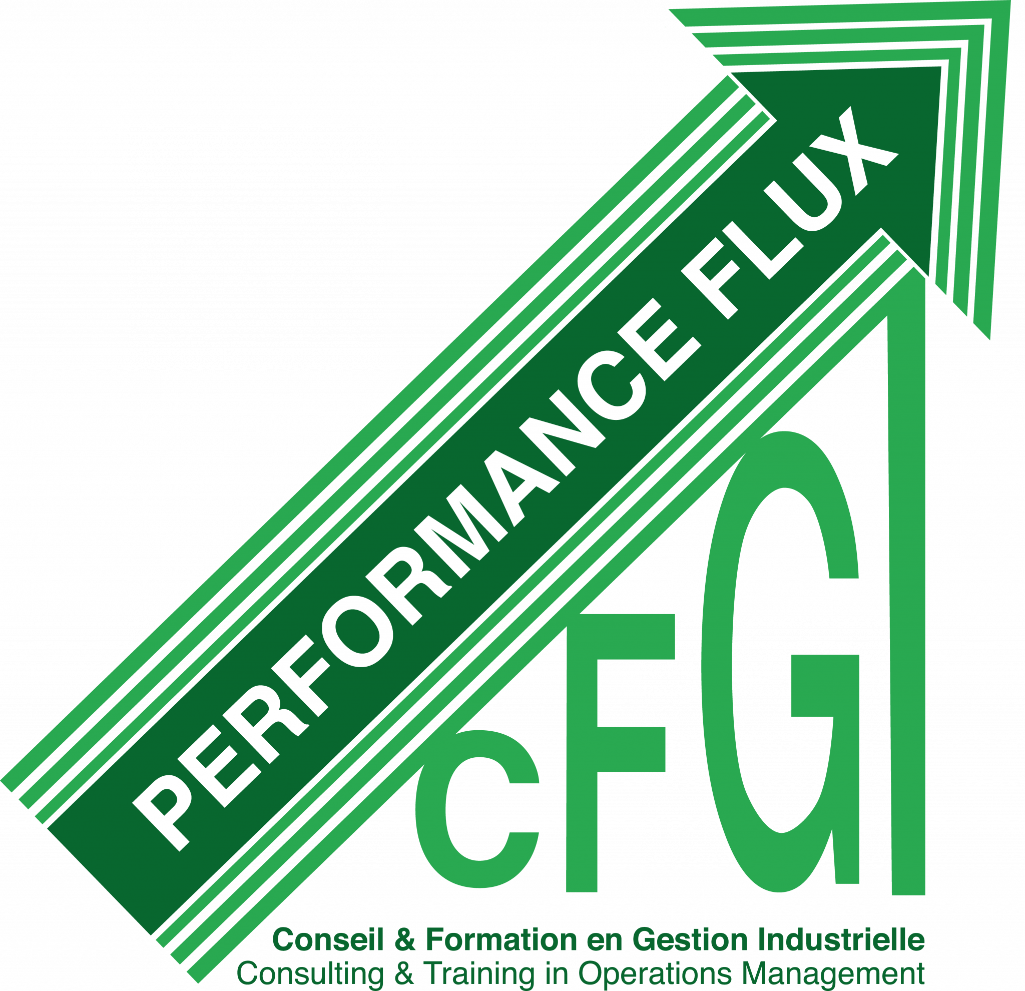 Logo-CFGI