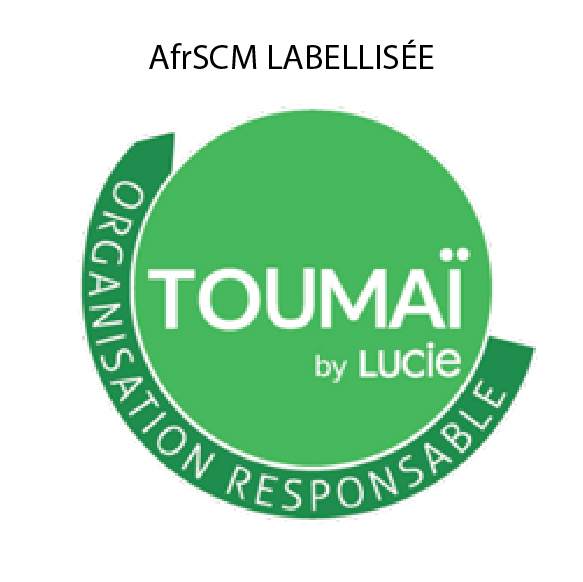 logos ailes sc-toumai